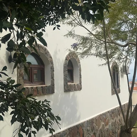 Rex - Sun & Λας Πάλμας ντε Γκραν Κανάρια