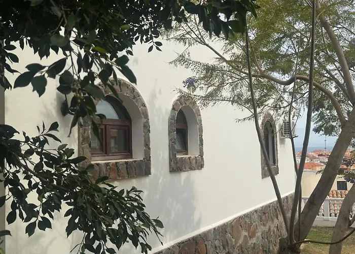 Rex - Sun & Las Palmas de Gran Canaria